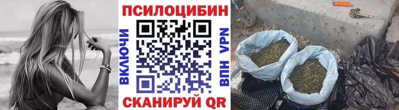 Псилоцибиновые грибы мицелий  дарнет шоп  Шиханы 
