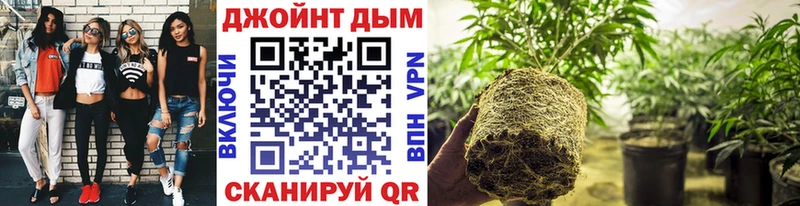 Марихуана SATIVA & INDICA Шиханы